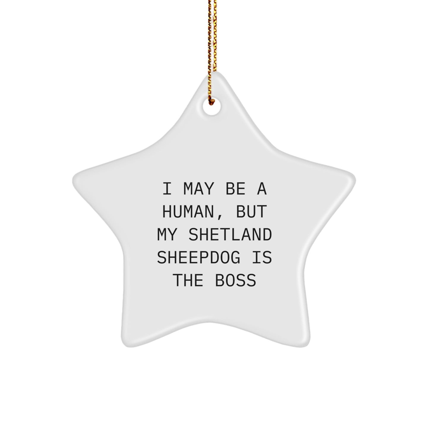 Funny Shetland Sheepdog Star Ornament Gifts for Men Women Friends Family from Loved Ones - Image 1