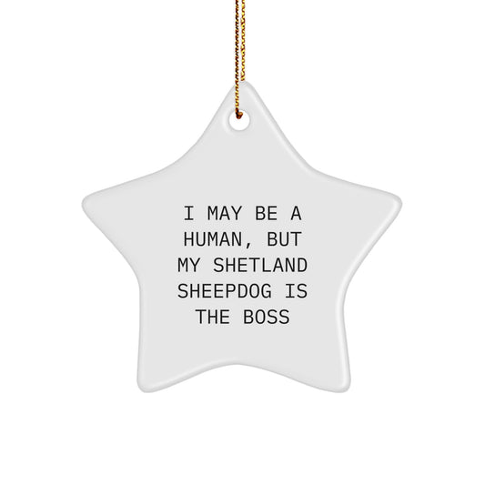 Funny Shetland Sheepdog Star Ornament Gifts for Men Women Friends Family from Loved Ones - Image 1