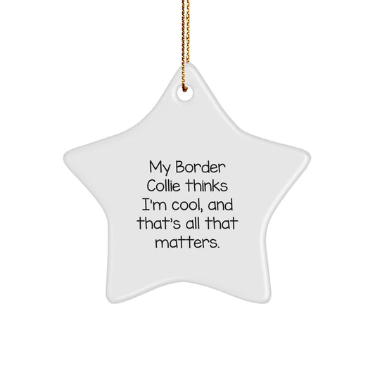 Funny Border Collie Dog Lover Gifts from Men or Women - Star Ornament for Border Collie Dog Owners on Christmas Unique Gifts - Image 1