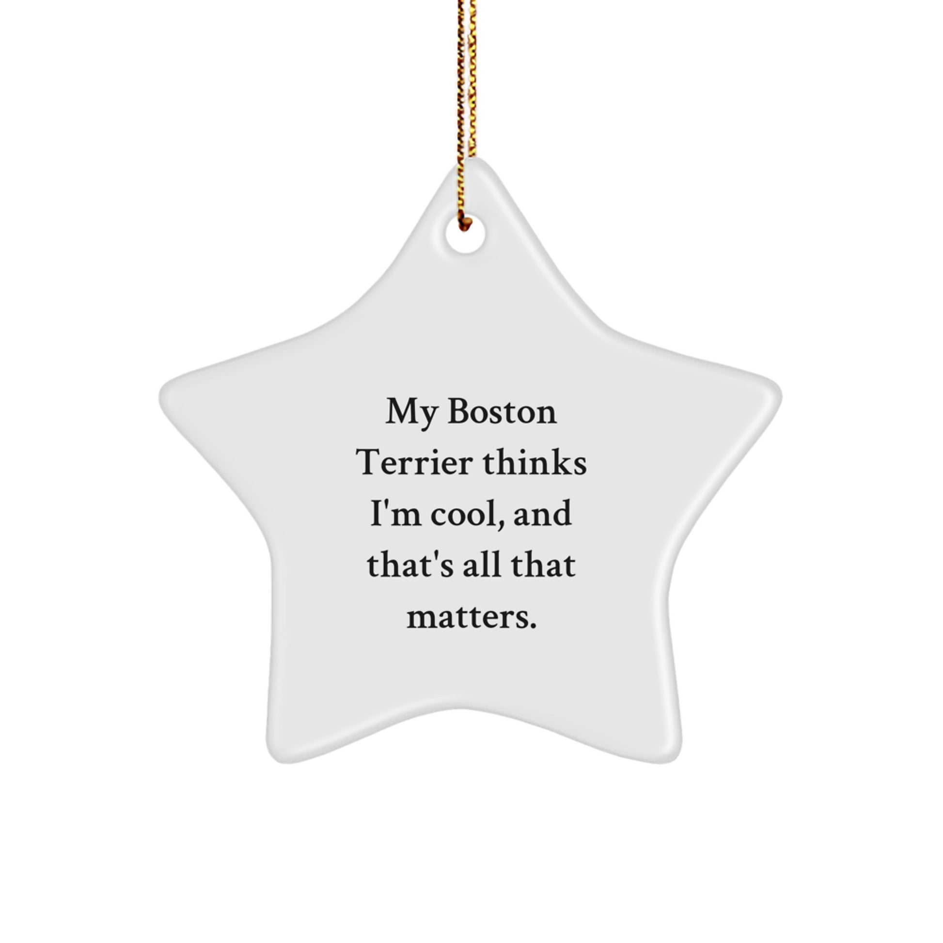 Boston Terrier Dog Star Ornament, Funny Gifts from Friends and Family, Unique Christmas Unique Gifts for Men, Women, and Boston Terrier Dog Lovers - Image 1