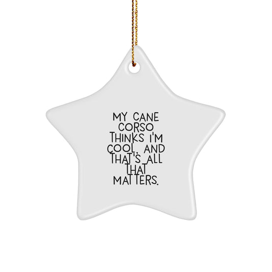 Funny Cane Corso Dog Star Ornaments Gifts from Men to Cane Corso Lovers at Christmas Time - Image 1