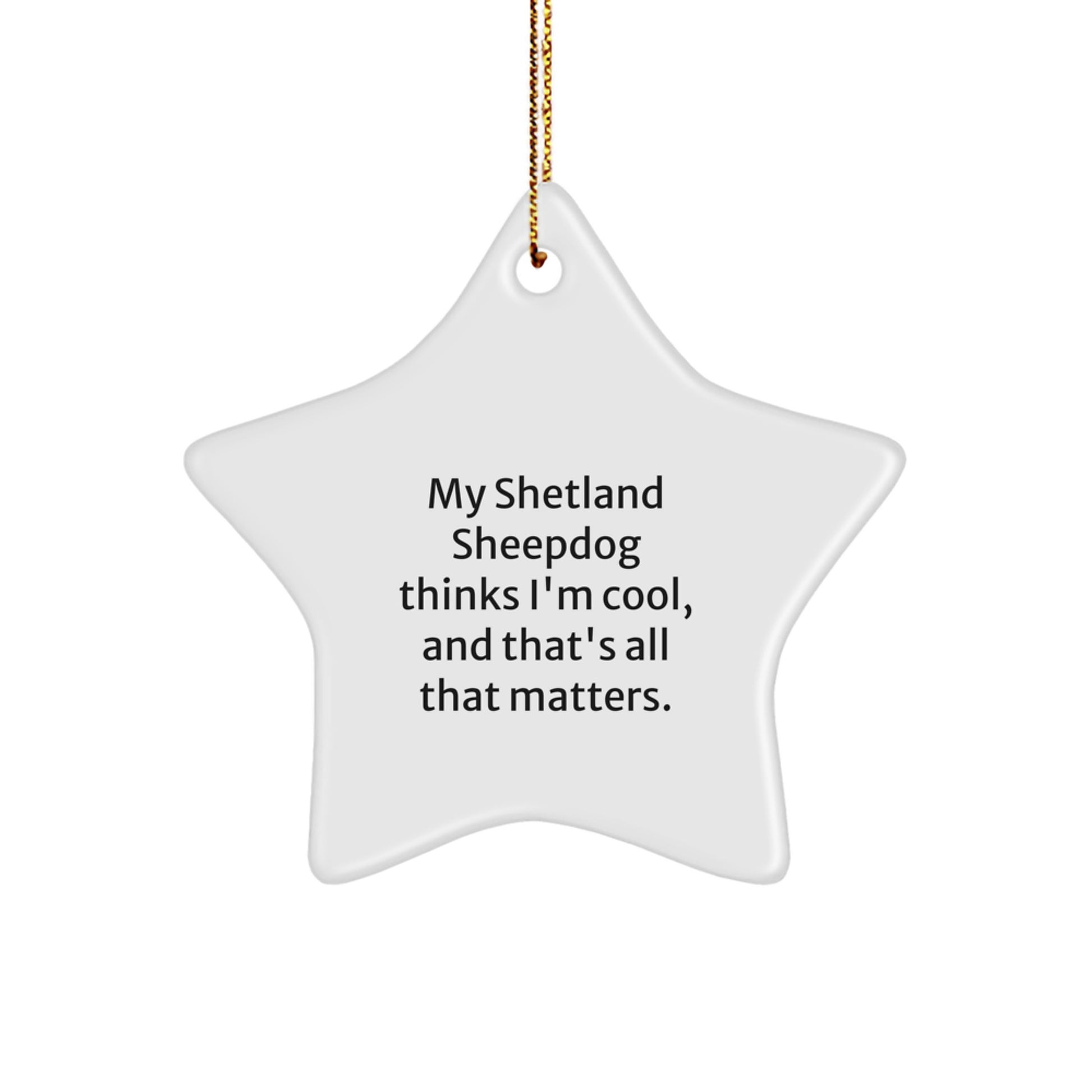 Funny Shetland Sheepdog Star Ornament Gifts for Men Women Friends, Christmas Unique Gifts from Family, Shetland Sheepdog Thinks I'm Cool Decorations - Image 1