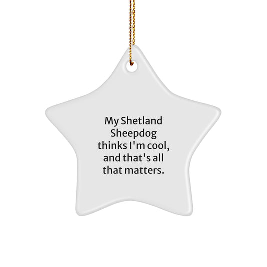 Funny Shetland Sheepdog Star Ornament Gifts for Men Women Friends, Christmas Unique Gifts from Family, Shetland Sheepdog Thinks I'm Cool Decorations - Image 1
