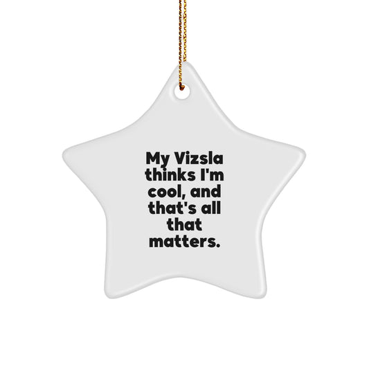 Funny Vizsla Dog Lover Gifts from Friends and Family for Christmas Unique Ornaments Star Shaped White Color - Image 1