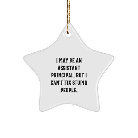 Funny Assistant Principal Gifts from Men to Assistant Principals, Star Ornament for Christmas Unique Decorations, I May Be An Assistant Principal, But I Can't Fix Stupid People. - Image 1