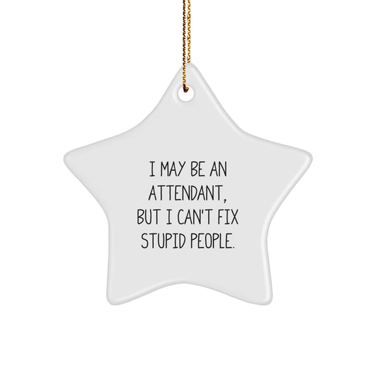 Funny Attendant Gifts from Men, Funny Attendant Christmas Unique Gifts for Attendant, 'I May Be An Attendant, But I Can't Fix Stupid People' Star Ornament - Image 1