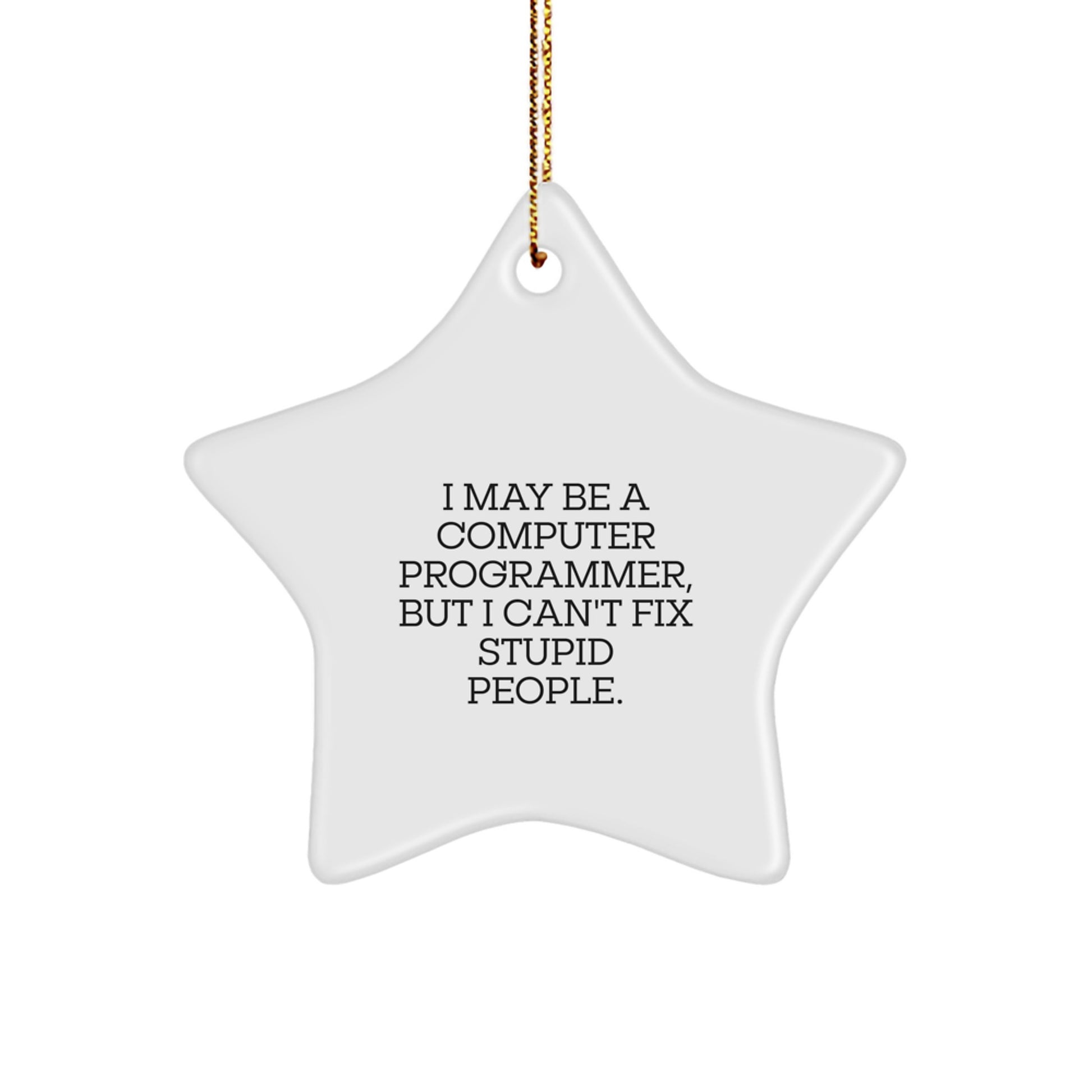 Funny Computer Programmer Star Ornament Gifts from Friends for Men - I May Be a Computer Programmer, But I Can't Fix Stupid People. Christmas Unique Gifts - Image 1