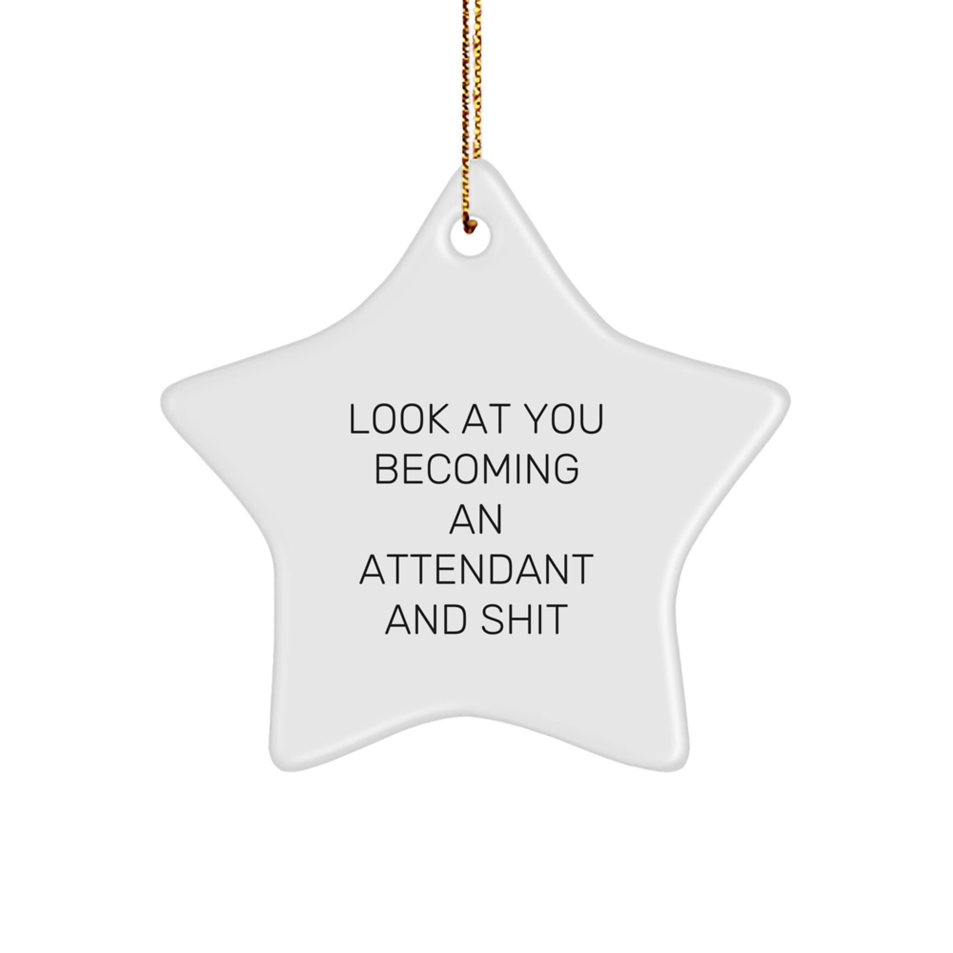 Funny Attendant Star Ornament Gifts from Friends for Christmas Unique Decorations - Image 1