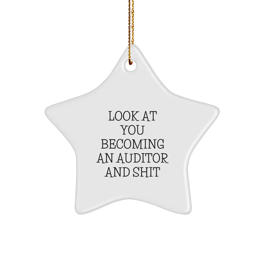 Funny Gifts for Auditor Friends and Family - Star Ornament Christmas Unique - Image 1