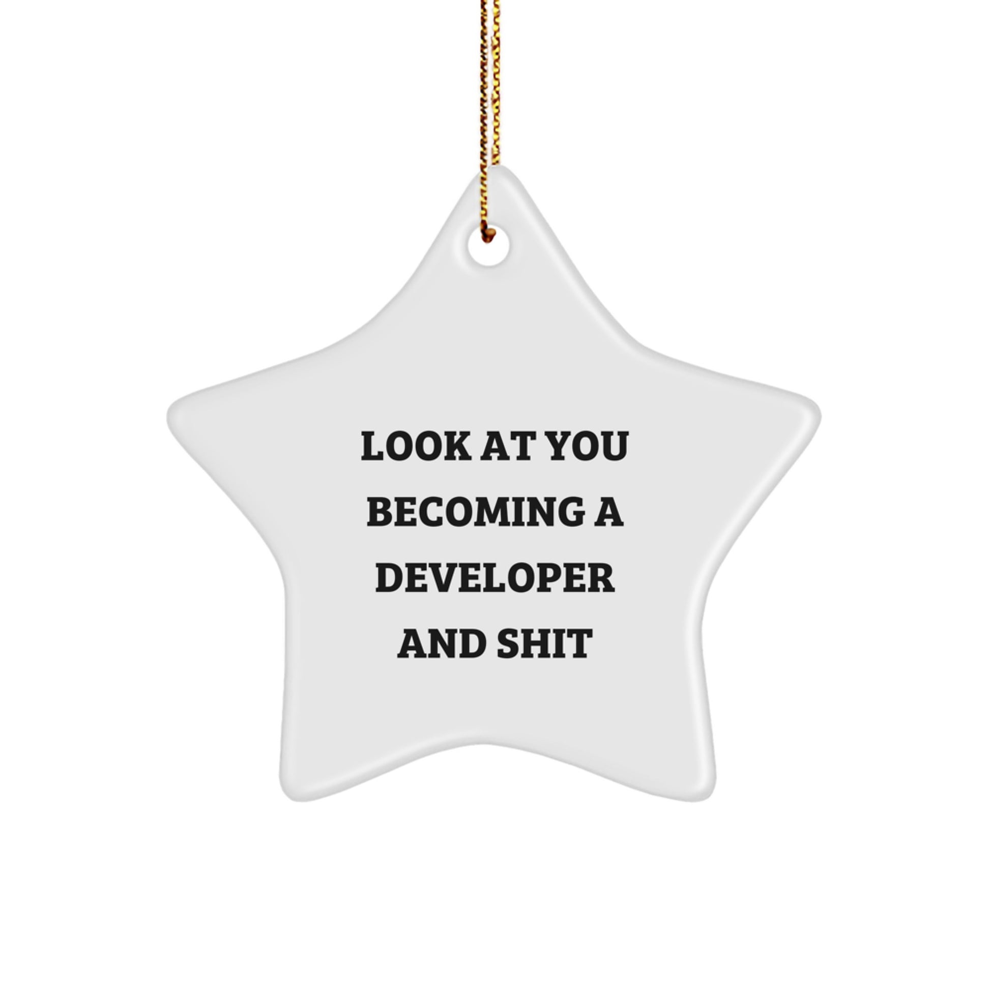 Developer Star Ornament - Funny Quote Gifts from Friends, Family, or Coworkers for Men, Women, and Fellow Developers - Christmas Unique Star Shaped Decorations - Image 1
