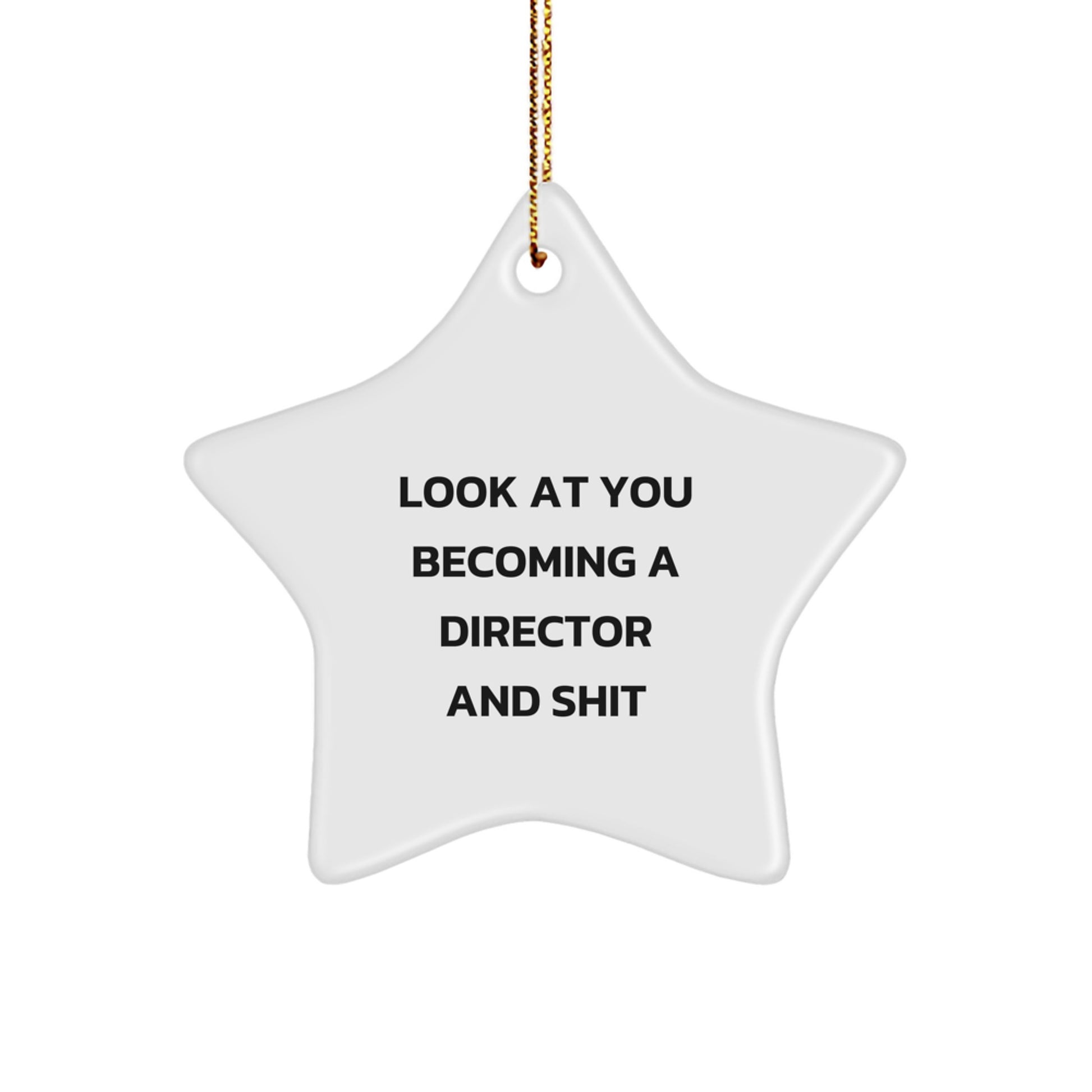 Funny Director Gifts from Friends and Family - Look At You Becoming A Director And Shit Star Ornament, Perfect for Christmas Unique Gifts for Men, Women, or Coworkers - Image 1