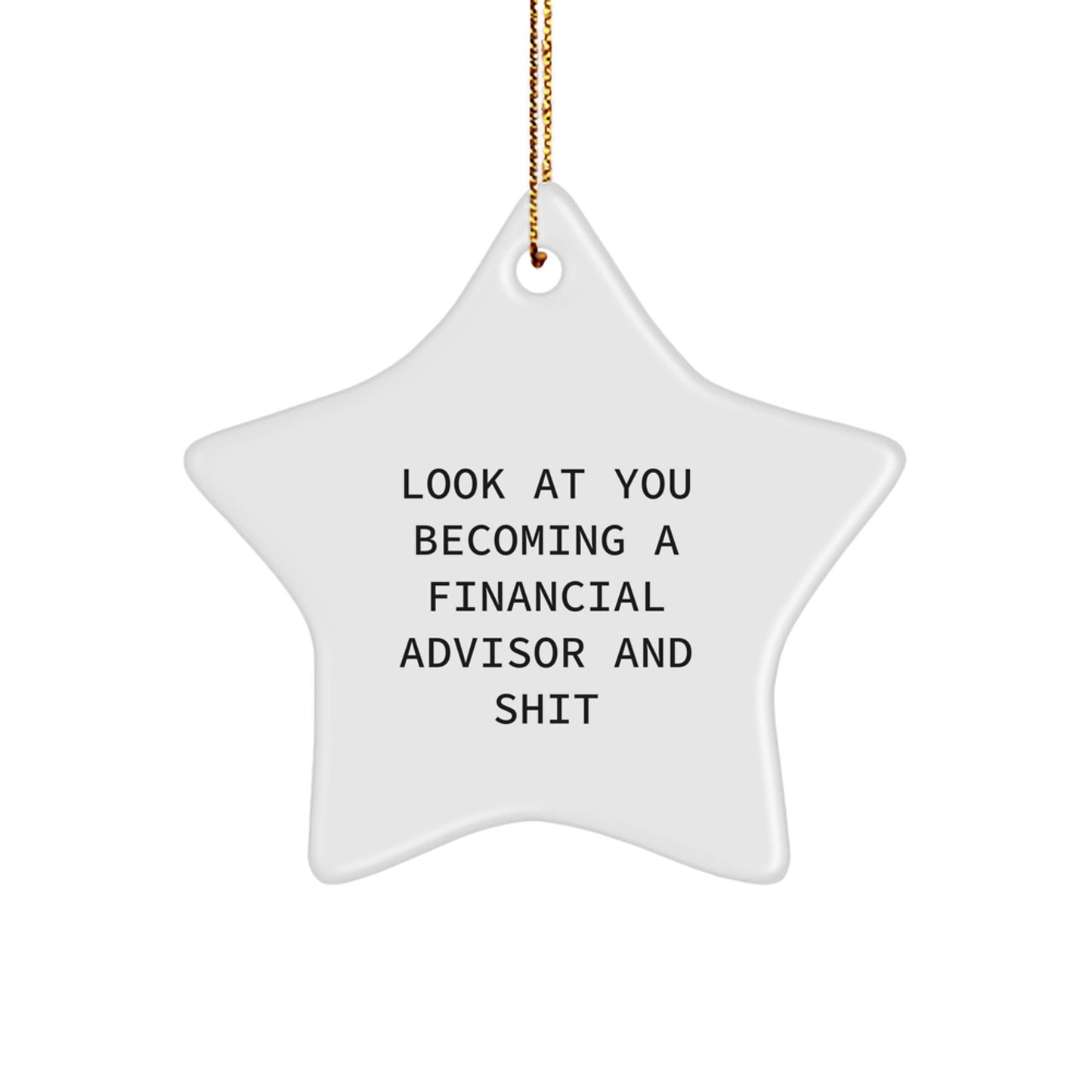 Funny Financial Advisor Gifts from Friends with Inspirational Star Ornament for Christmas Unique Presents to Men, Women, Coworkers, and Family - Image 1