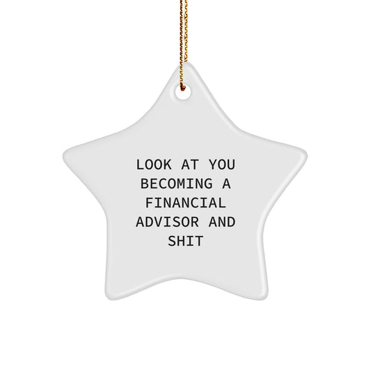 Funny Financial Advisor Gifts from Friends with Inspirational Star Ornament for Christmas Unique Presents to Men, Women, Coworkers, and Family - Image 1