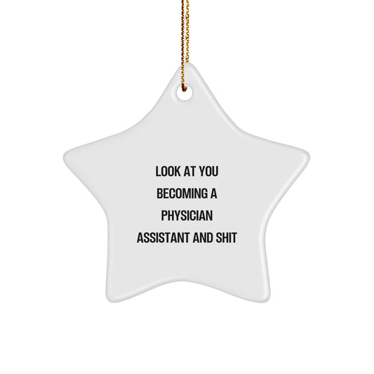 Funny Physician Assistant Christmas Star Ornament Gifts from Friends and Family with Inspirational Quote Become a Physician Assistant - Image 1