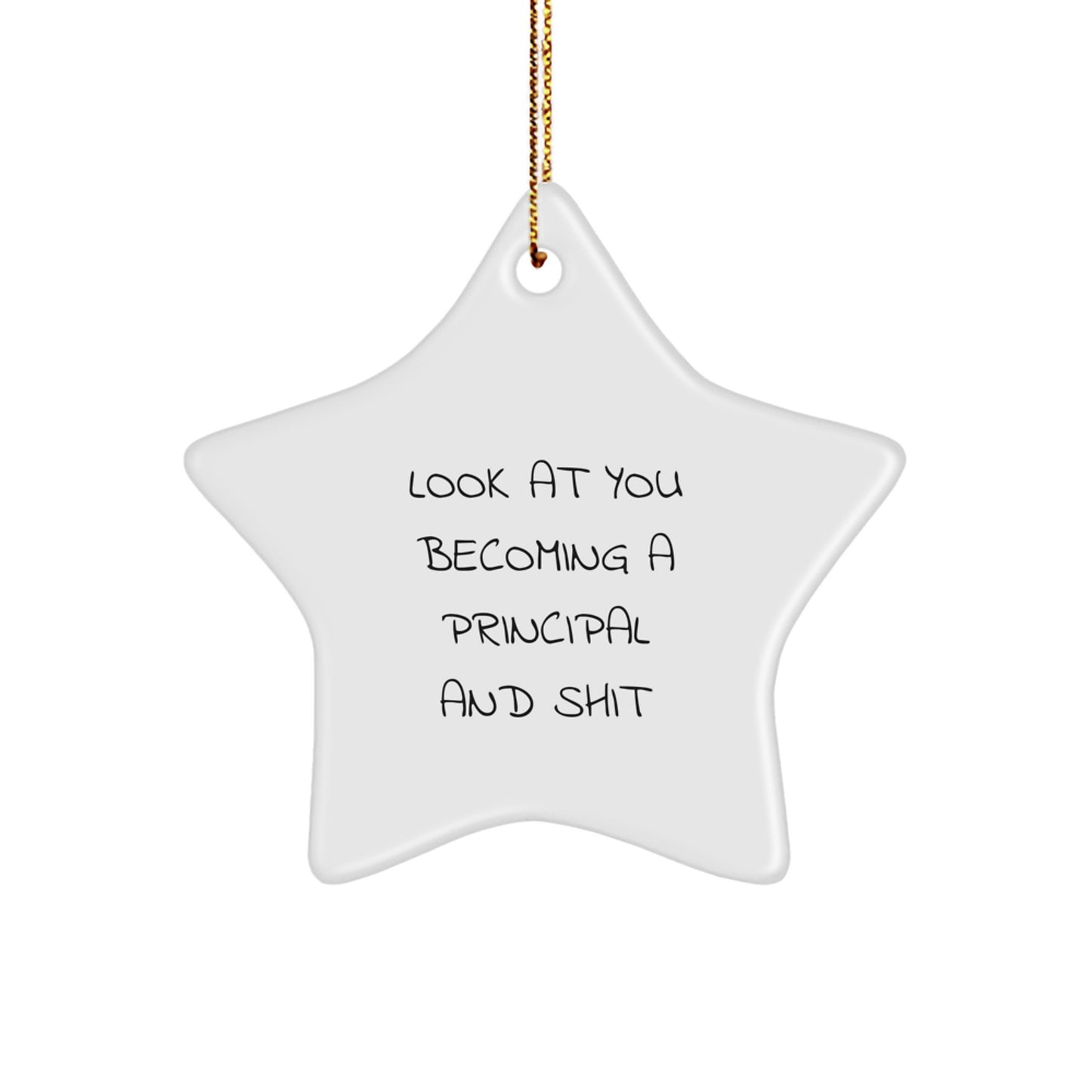 Funny Principal Gifts for Men, Principal Star Ornament with Look At You Becoming A Principal And Shit Quote, Christmas Unique Gifts from Friends - Image 1