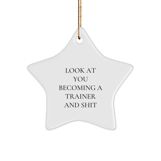 Funny Trainer Gifts from Friends, Star Ornament with Trainer Inspirational Quote for Christmas Unique Gifts for Men, Women, Coworkers, Family - Image 1