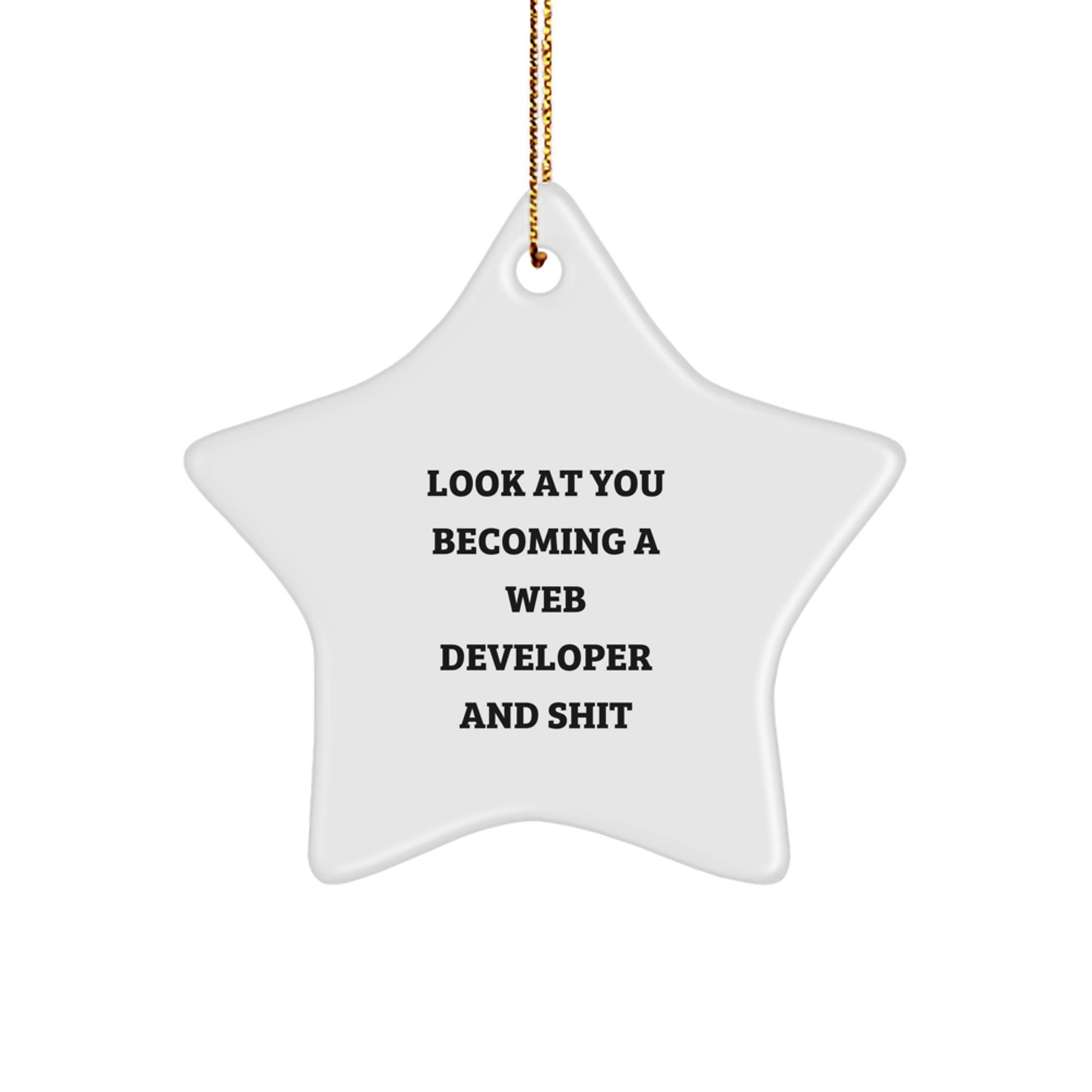 Funny Web Developer Star Ornament Gifts from Friends for Men Women and Family to Celebrate Christmas Unique - Image 1