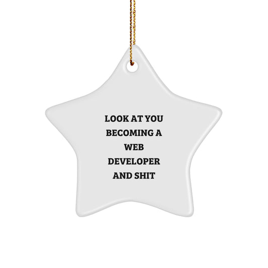 Funny Web Developer Star Ornament Gifts from Friends for Men Women and Family to Celebrate Christmas Unique - Image 1