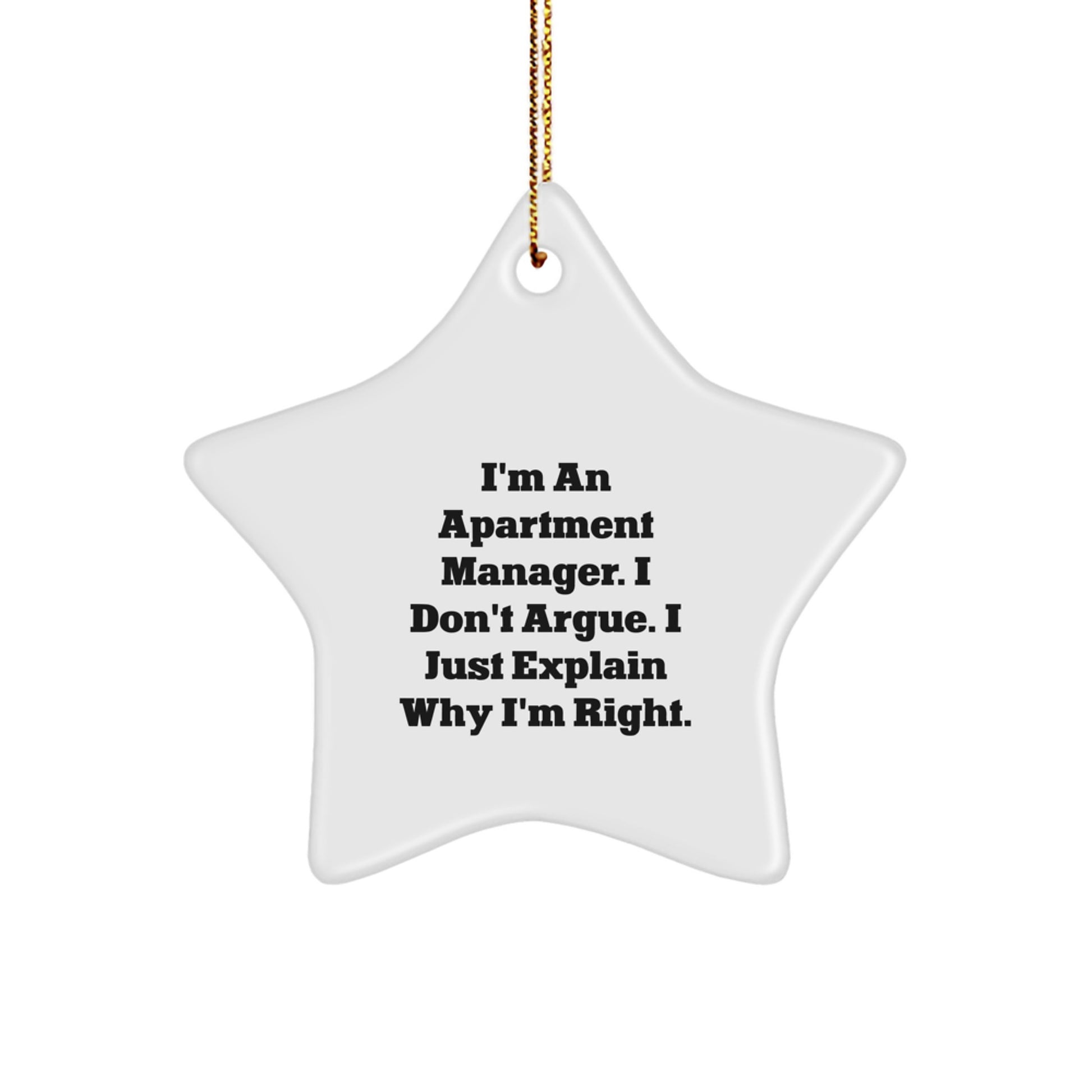 Funny Apartment Manager Gifts for Christmas - Star Ornament for Men or Women from Friends - Image 1