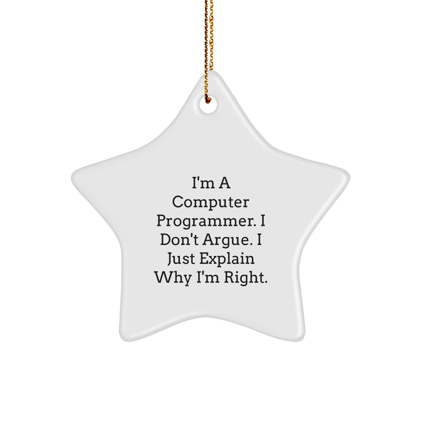 Gifts from Friends for Computer Programmer, Funny Star Ornament, Christmas Unique Decorations, Quotes for Programmer - Image 1
