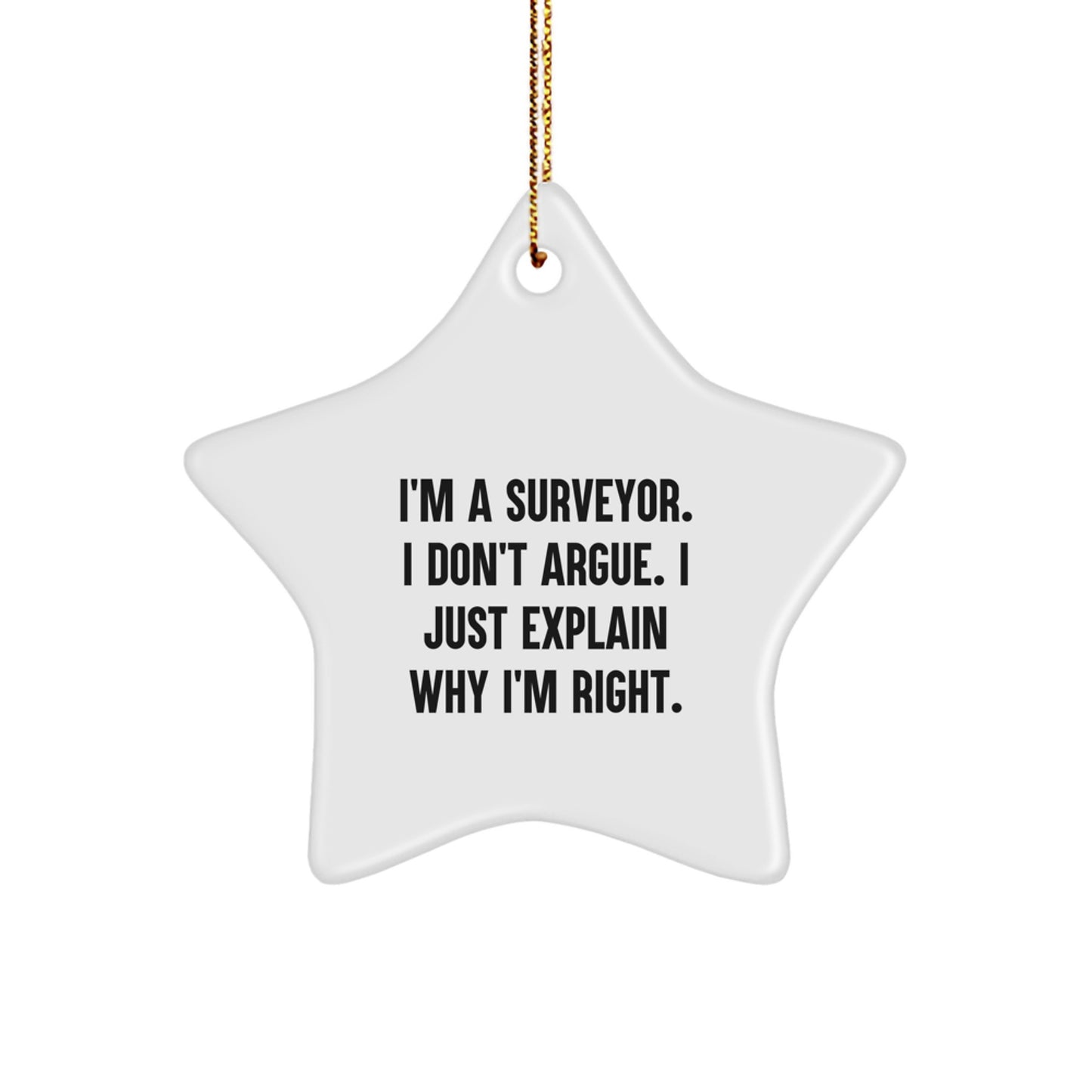 Funny Surveyor Star Ornament Gifts from Men to Surveyor Friends for Christmas Unique Decorations - Image 1