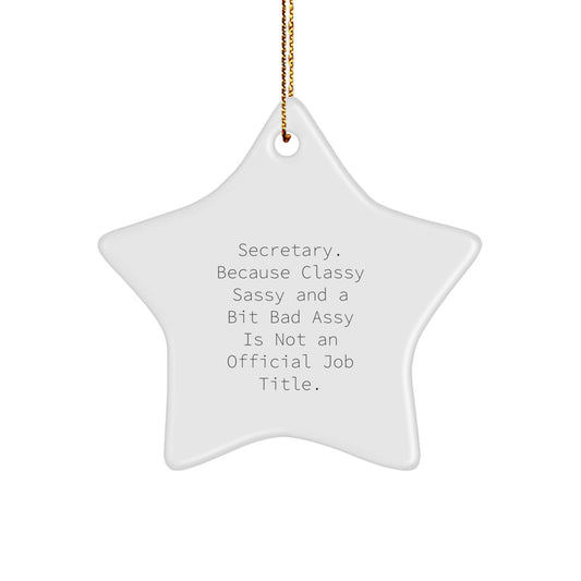 Funny Christmas Unique Gifts for Secretary - Secretary Star Ornament, Gifts from Friends, Family, or Coworkers - Humorous Inspirational Quote - Image 1
