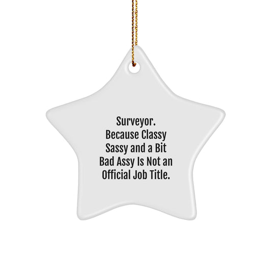 Funny Surveyor Gifts from Men - Classy Sassy And A Bit Fearlessy Is Not An Official Job Title Star Ornament for Surveyor Friends Family Christmas Unique Gifts - Image 1