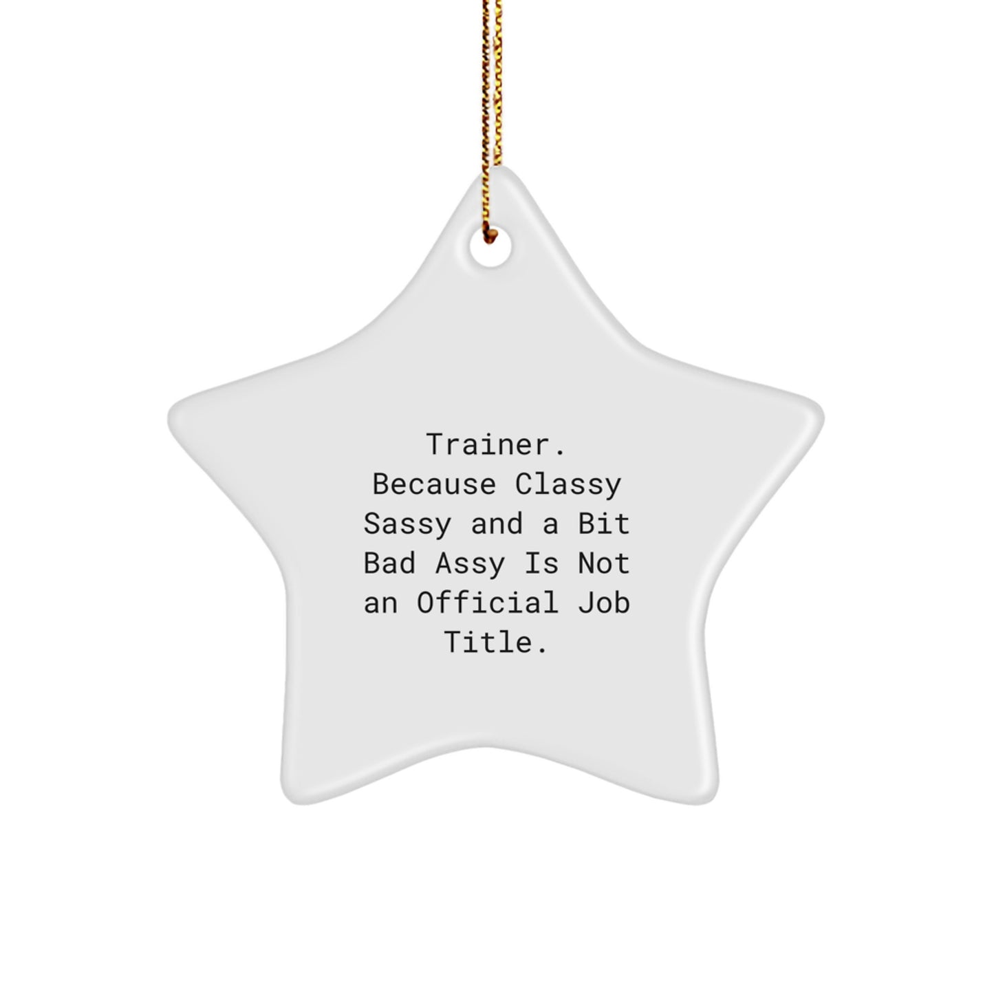 Funny Trainer Star Ornament Gifts for Friends, Trainer Christmas Unique Gifts from Men, Trainer Star Ornament for Men, Women, Friends, Coworkers, Family - Image 1