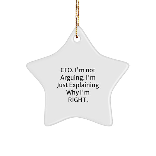 Funny CFO Gifts from Men to Friends, I'm Not Arguing Star Ornament for Christmas Decoration - Image 1