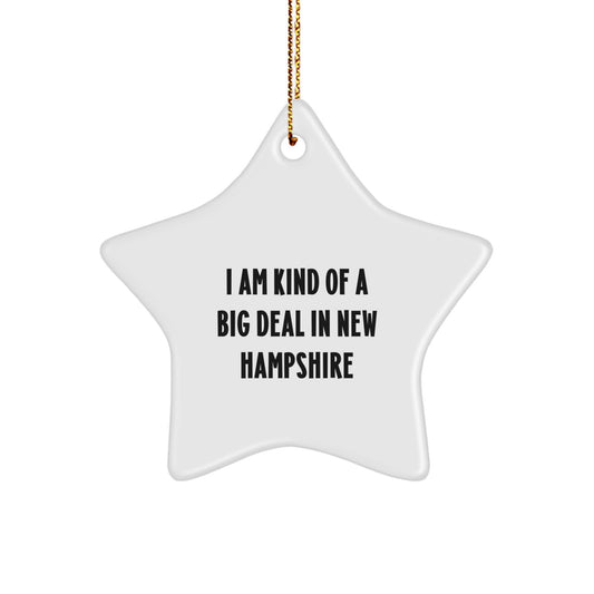 Funny New Hampshire Star Ornament Gifts for Family from New Hampshire - I Am Kind Of A Prime Selection - Image 1