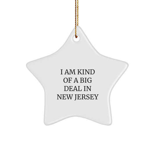 Funny New Jersey Star Ornament Gifts from Family and Friends, Perfect Unique Christmas Decorations for New Jersey Men and Women, I Am Kind Of A Prime Selection In New Jersey Star Shaped Decoration - Image 1