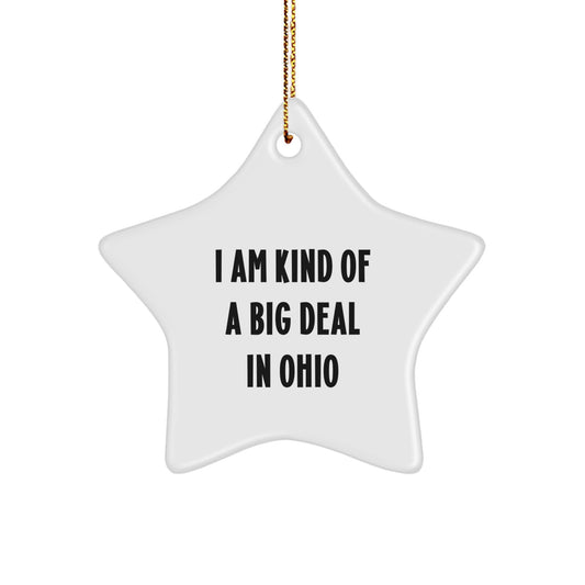 Funny Star Ornament Gifts from Ohio, I Am Kind Of A Prime Selection In Ohio Funny Star Ornament for Ohio Christmas Unique Gifts from Men to Family - Image 1