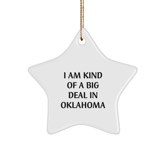 Funny Oklahoma Star Ornament Gifts from Friends and Family for Christmas Unique Oklahoma Decorations I Am Kind Of A Prime Selection In Oklahoma - Image 1