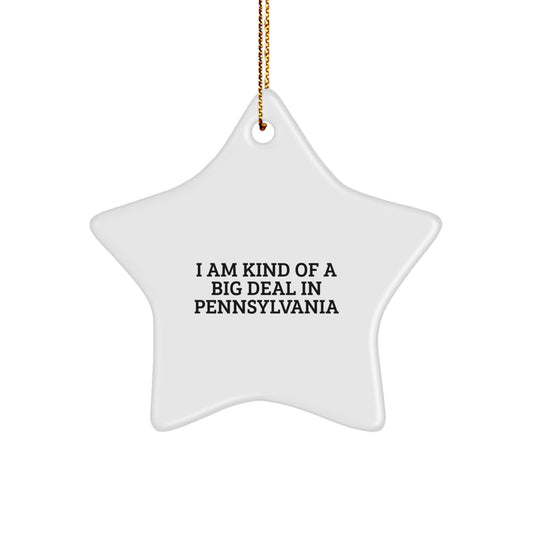 Funny Star Ornament Gifts from Pennsylvania for Christmas - Kind of a Prime Selection - Image 1