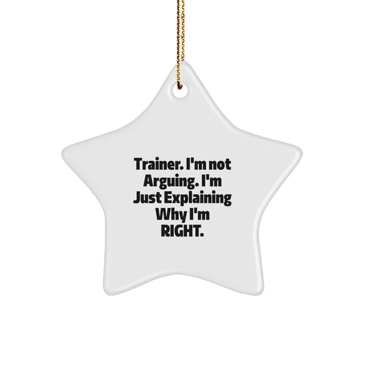 Funny Trainer Gifts from Friends - Trainer Star Ornament, Christmas Unique Gifts for Trainers, Inspirational Quotes, Star Shaped Decorations - Image 1