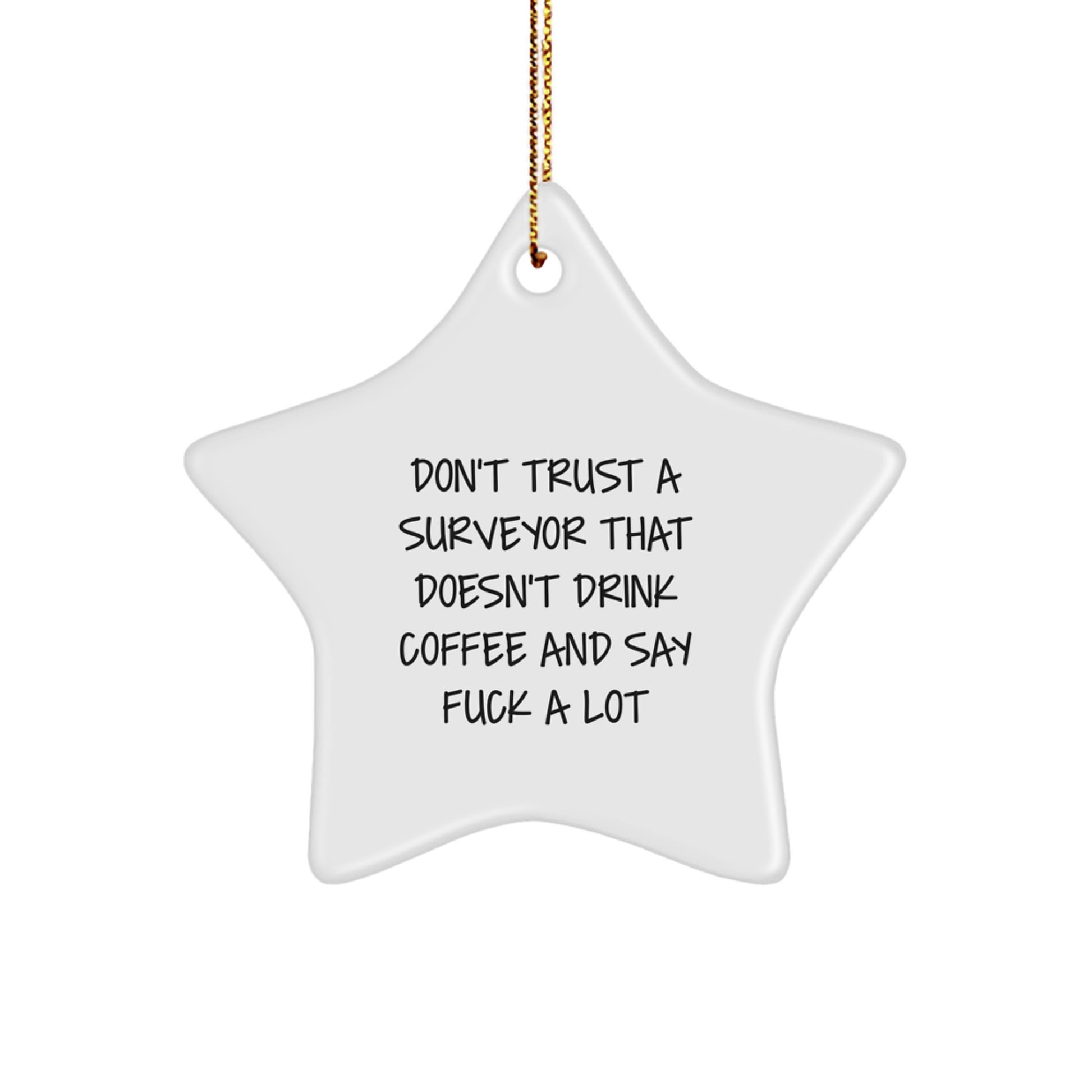 Funny Gift for Surveyor Friends, Unique Star Ornament for Christmas Unique Gifts, Gifts from Friends for Surveyor - Image 1