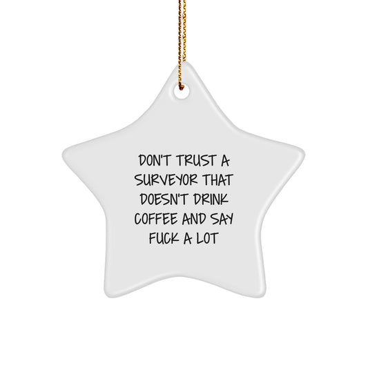 Funny Gift for Surveyor Friends, Unique Star Ornament for Christmas Unique Gifts, Gifts from Friends for Surveyor - Image 1