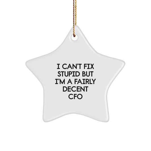 Funny CFO Gifts, I Can't Fix Stupid But I'm A Fairly Decent CFO Christmas Star Ornament for CFO Men, Gifts from Friends and Family - Image 1