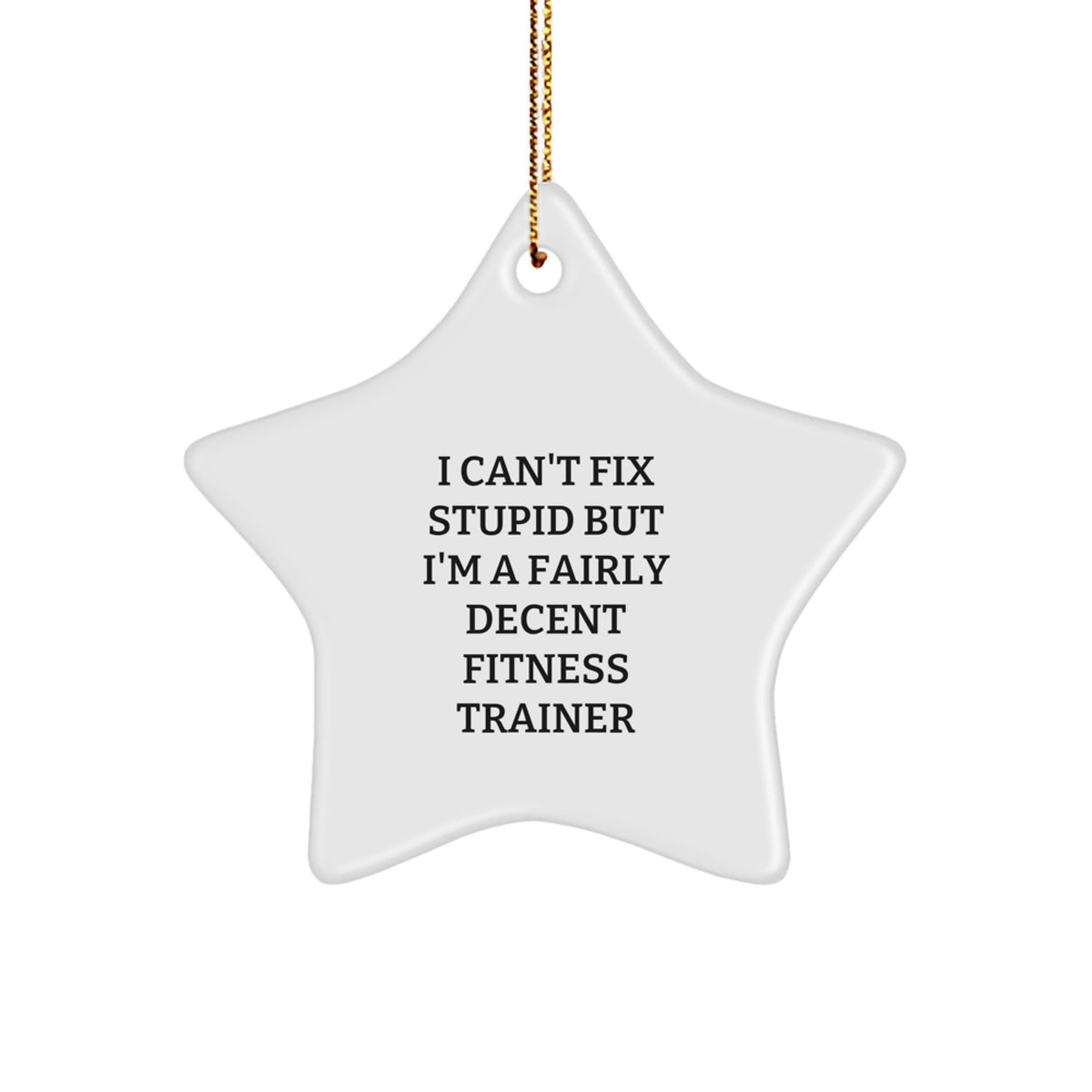 Funny Fitness Trainer Christmas Unique Gifts from Men Friends for Women Coworkers Family - Star Ornament with I Can't Fix Stupid Quote - Image 1