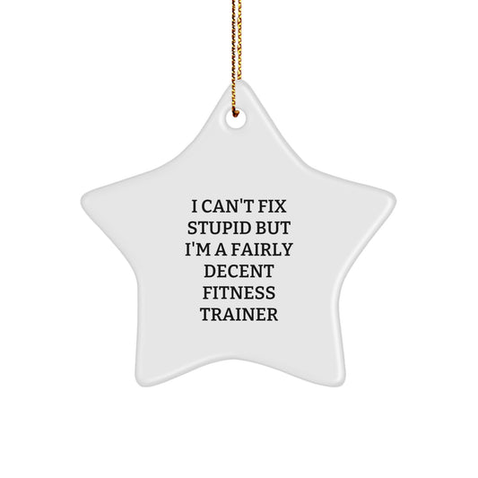 Funny Fitness Trainer Christmas Unique Gifts from Men Friends for Women Coworkers Family - Star Ornament with I Can't Fix Stupid Quote - Image 1