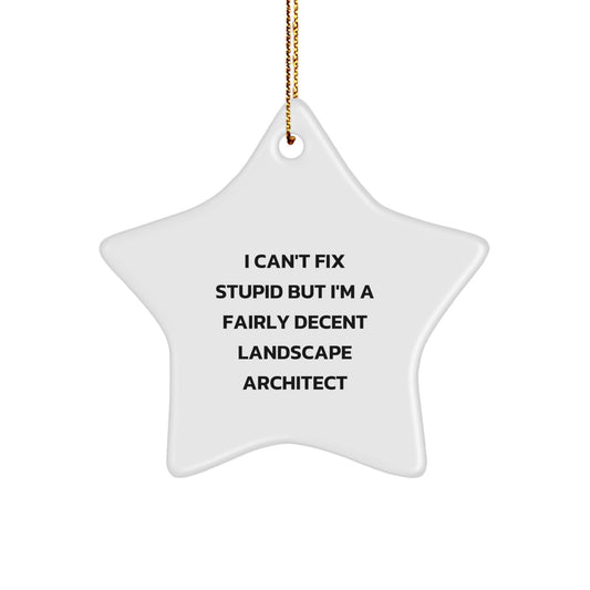 Funny Star Ornament for Landscape Architect Gifts from Friends and Family, 'I Can't Fix Stupid But I'm A Fairly Decent Landscape Architect' Christmas Unique Decorations - Image 1