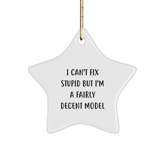 Funny Model Gifts for Men, Women, Friends, and Family - I Can't Fix Stupid Model Star Ornament for Christmas Unique Gifts from Friends and Family - Image 1
