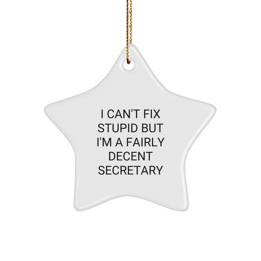 Gifts from Friends and Family, Funny Secretary Star Ornament, I Can't Fix Stupid But I'm A Fairly Decent, Christmas Unique Gifts - Image 1