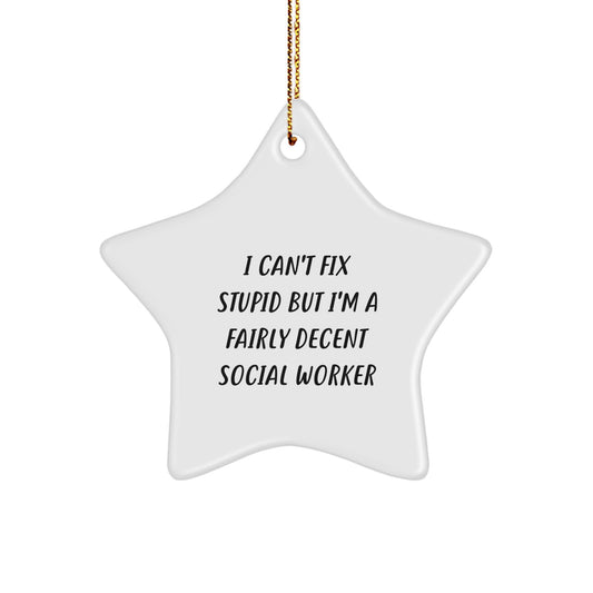 Funny Social Worker Gifts: Social Worker Star Ornament, I Can't Fix Stupid But I'm A Fairly Decent Social Worker, Christmas Unique Present for Family, Friends, Coworkers - Image 1