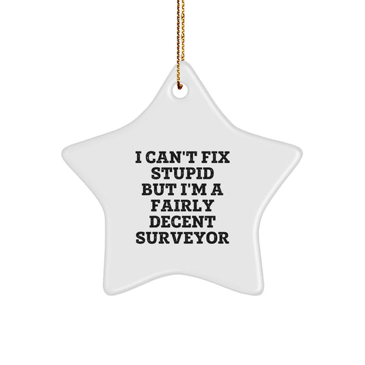 Funny Surveyor Gifts for Him, Star Ornament with 'I Can't Fix Stupid But I'm A Fairly Decent Surveyor' Quote, Christmas Unique Gifts from Friends - Image 1