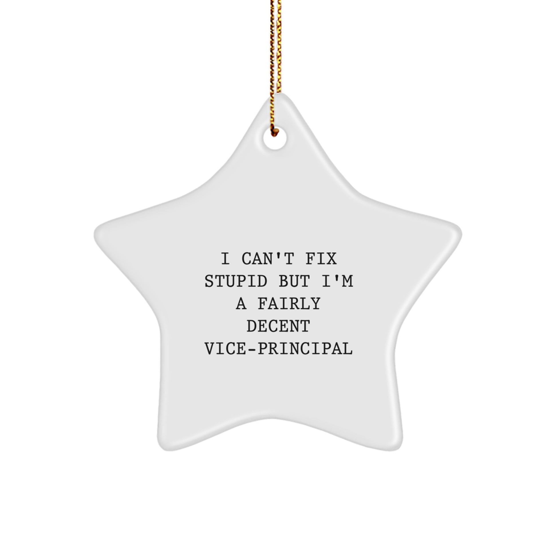 Funny Vice-principal Gifts from Friends, 'I Can't Fix Stupid' Star Ornament for Vice-principal - Image 1