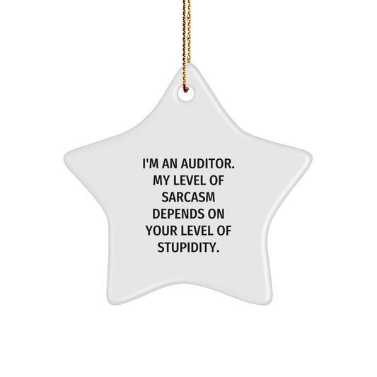 Funny Auditor Gifts from Men to Women Friends Christmas Star Ornament, Auditor Humor Sarcasm Quotes, White Star Shaped Decorations for Auditor Offices - Image 1