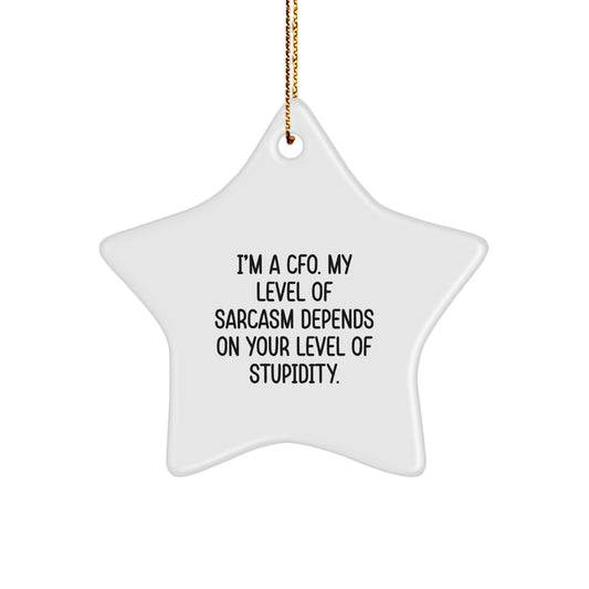 Funny CFO Christmas Unique Gift, Star Ornament for CFO Colleagues, Friends and Family Unique Gifts from Men, Women, Coworkers, Inspirational CFO Quotes, Sarcasm Level Depends on Stupidity - Image 1
