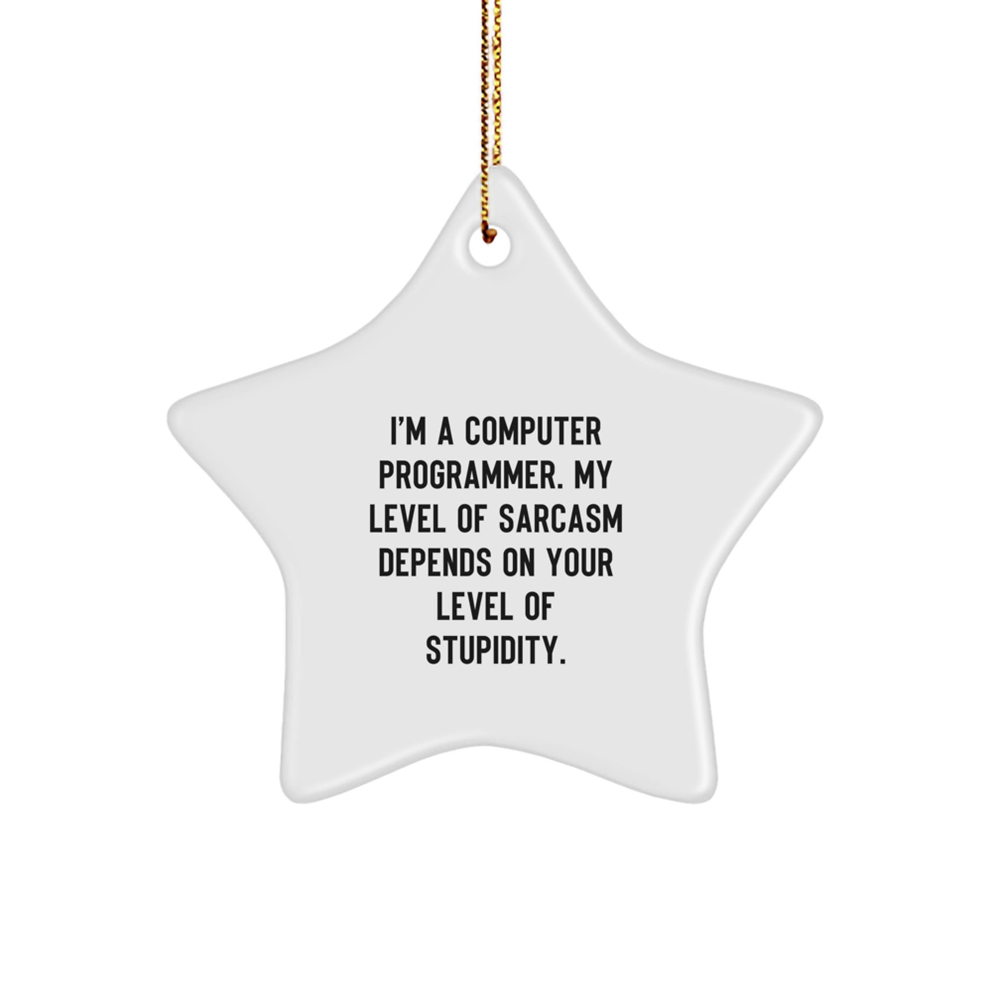 Funny Computer Programmer Gifts for Men, Star Ornament, Sarcasm Humor, Gifts from Coworkers to Computer Programmer Friends at Christmas - Image 1