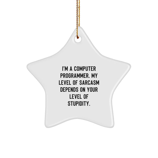 Funny Computer Programmer Gifts for Men, Star Ornament, Sarcasm Humor, Gifts from Coworkers to Computer Programmer Friends at Christmas - Image 1